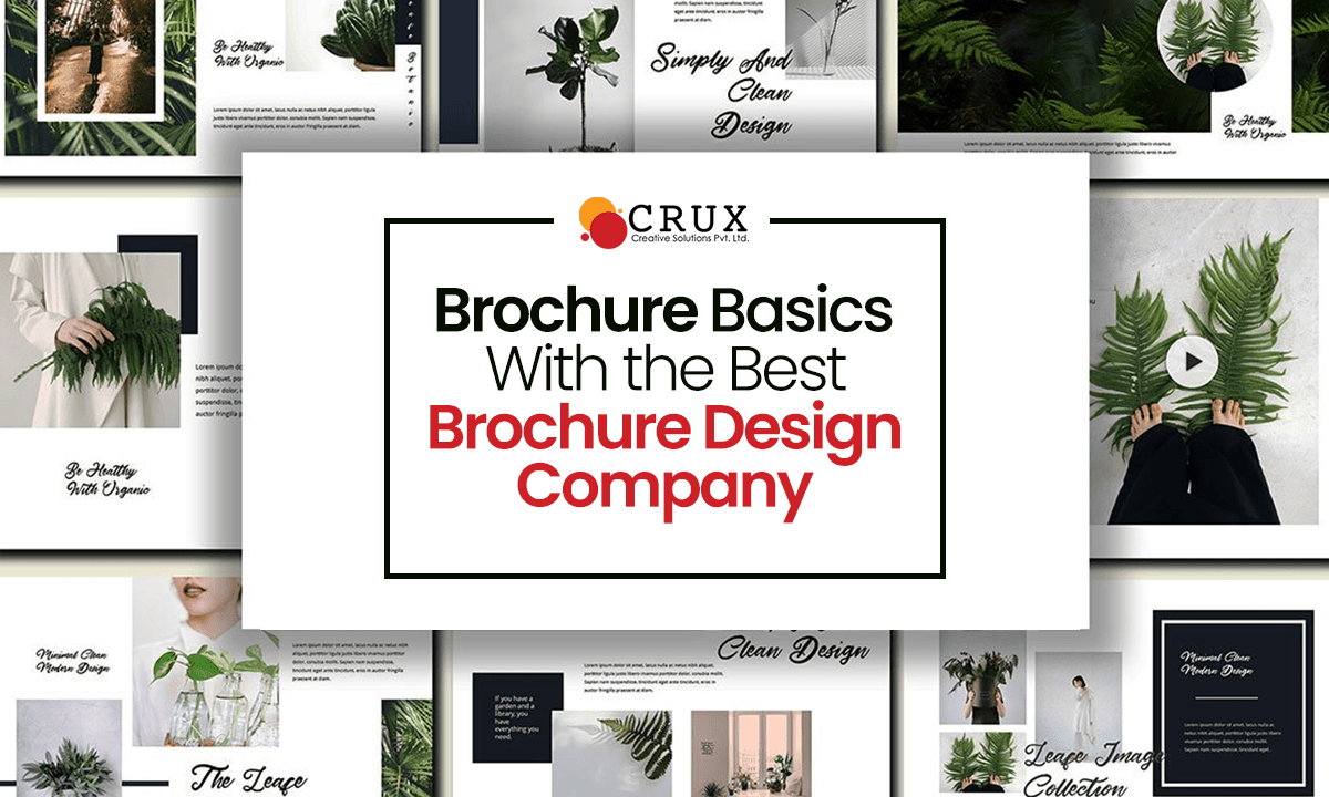 Brochure Basics With the Best Brochure Design Company - Crux Creative Solutions